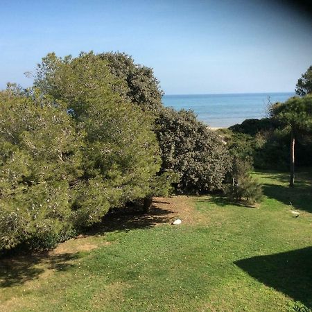 Entre Mer Et Piscine Hyeres Bagian luar foto