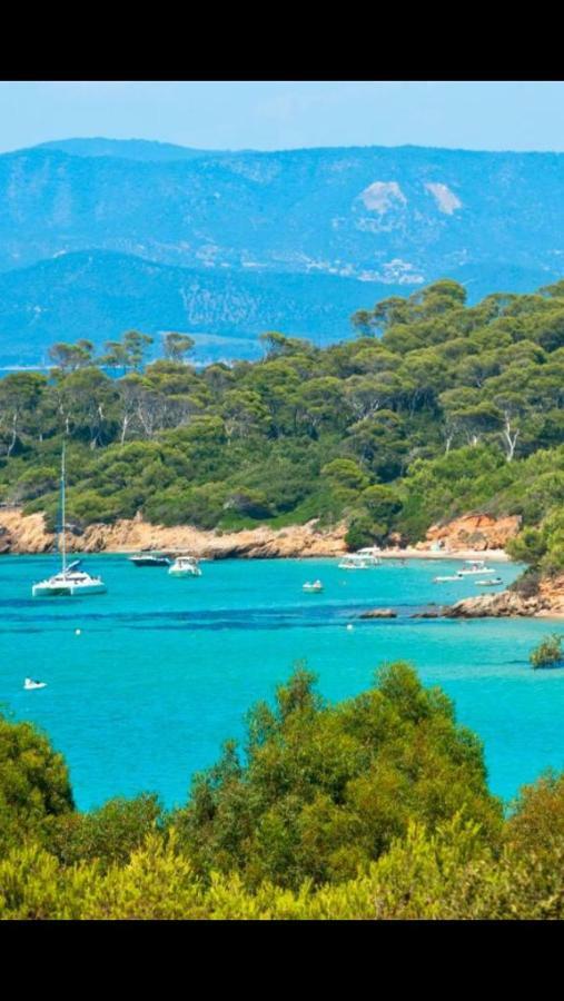 Entre Mer Et Piscine Hyeres Bagian luar foto